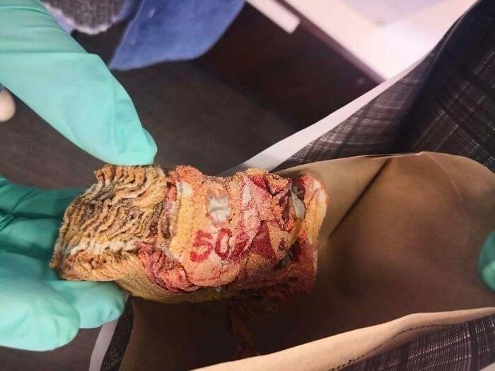 誰が彼らのお金を電子レンジにかけるか?