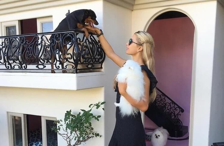 Paris Hilton's Dog Mansion