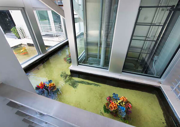 Lil Wayne's Shark Pool