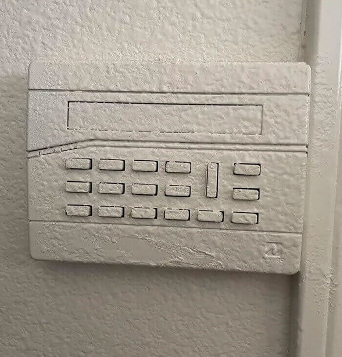 "You Said Paint Everything, Right? "