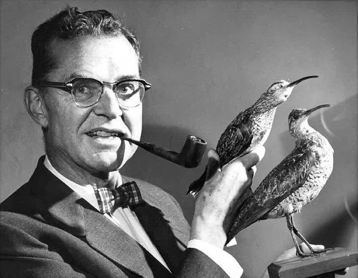The Real James Bond Wasn't a Secret Agent - He Was an Ornithologist