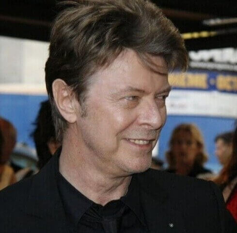 David Bowie Had An Endangered Malaysian Spider Species Named In His Honor