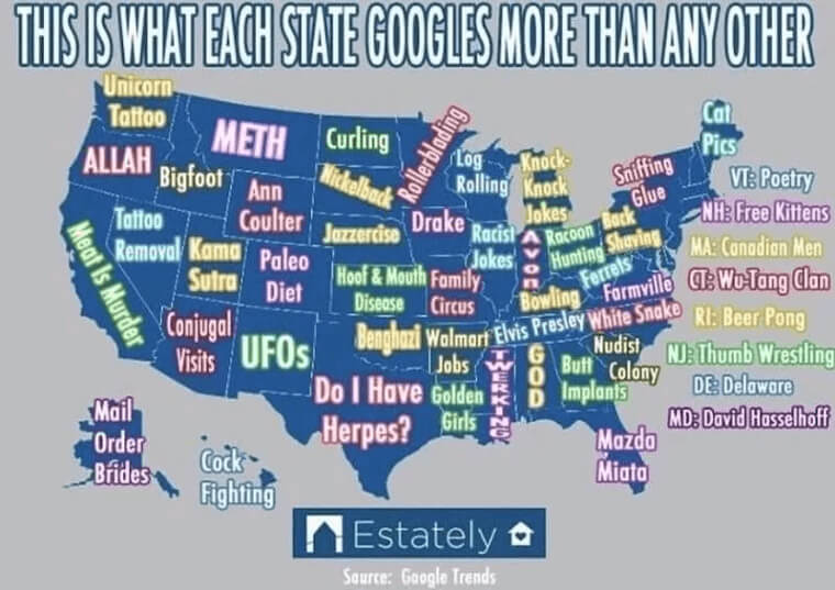 Yikes, What Is Everyone Googling?