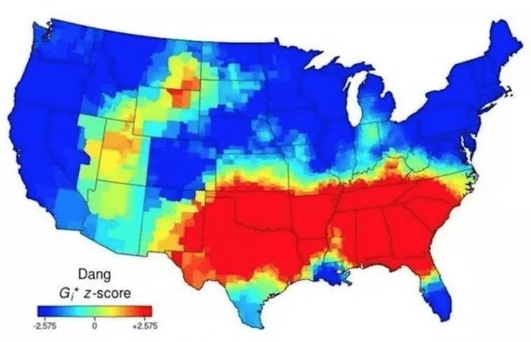 Is Dang A Popular Word?