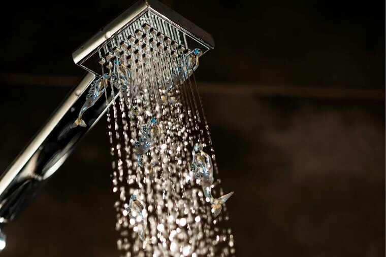 Install a New Showerhead