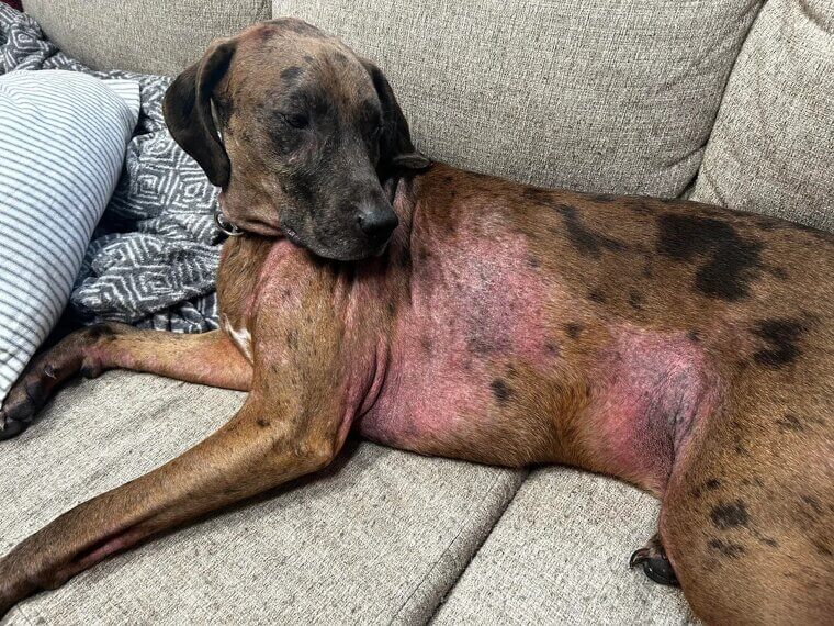 ​Ignoring Food Allergies