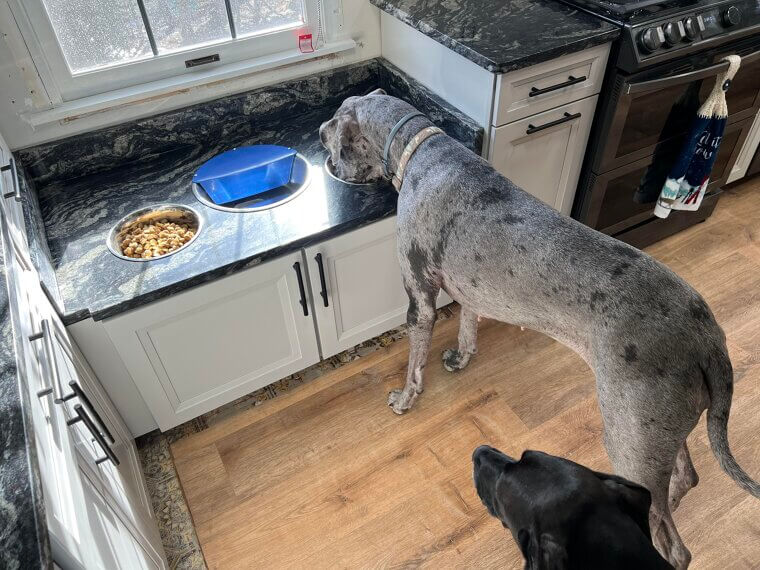 ​Not Providing Fresh Water