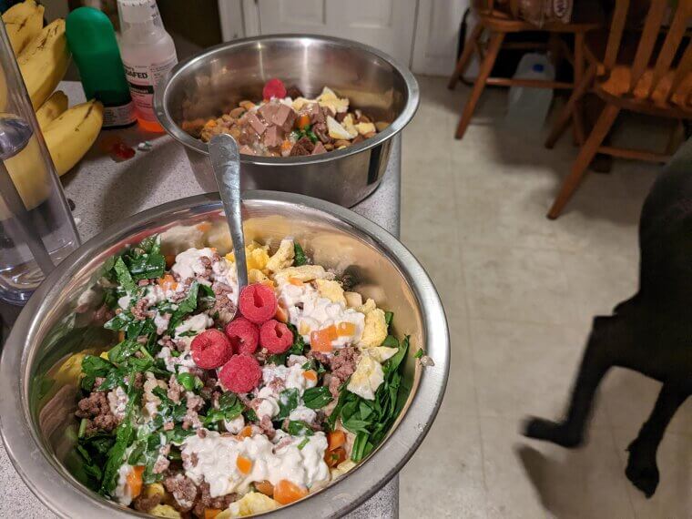 ​Using Homemade Diets Without Vet Guidance