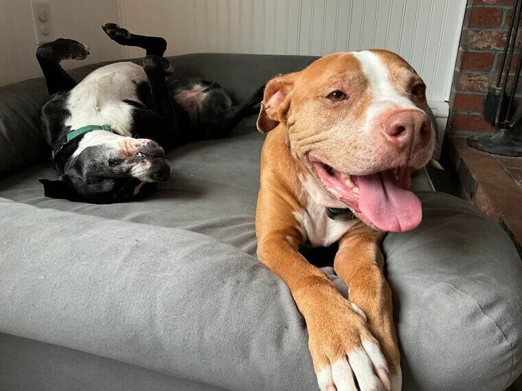 ​Feeding Based on Appetite Alone