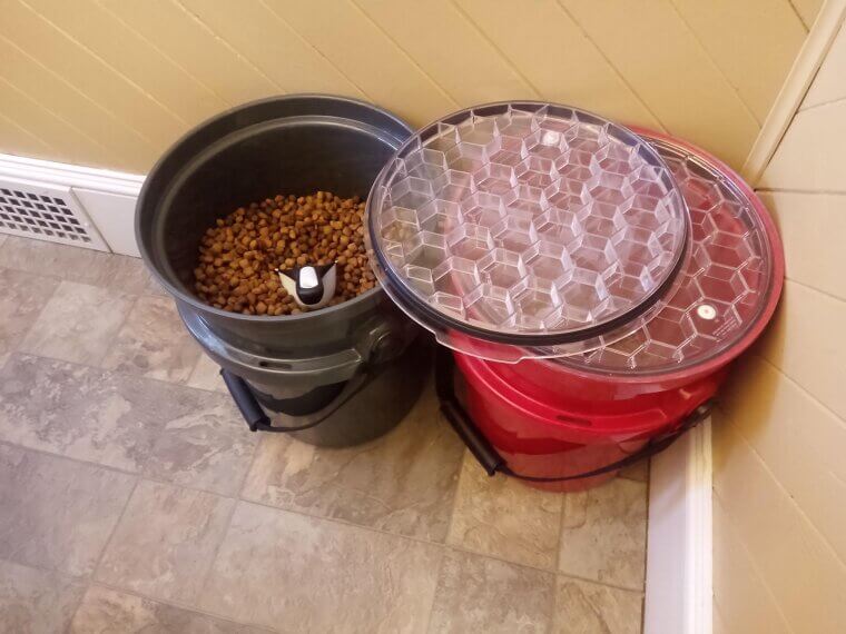 Not Storing Food Properly