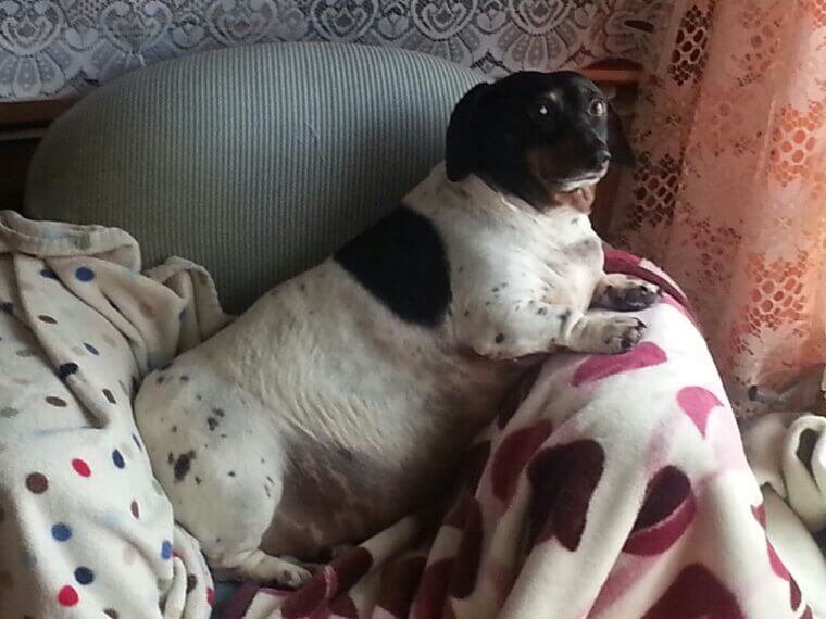 ​Not Monitoring Weight Changes