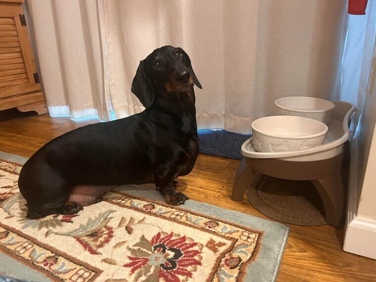 Feeding During Stressful Times