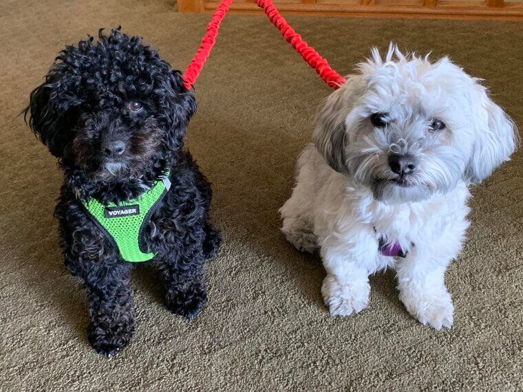 ​Not Adjusting Diet With Age