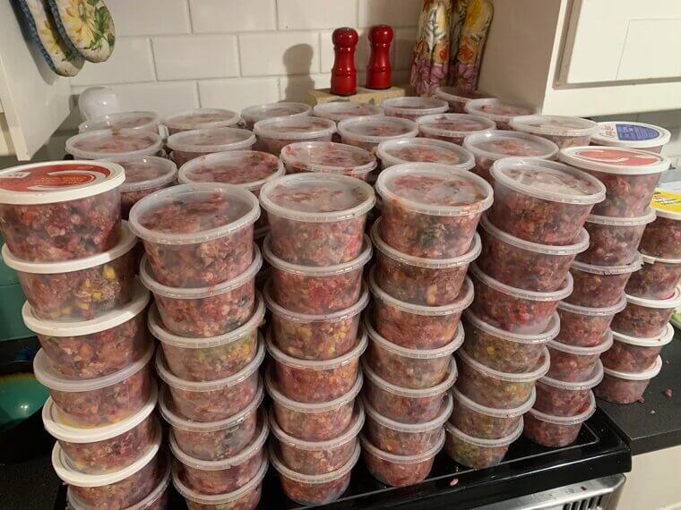 Feeding a Raw Diet Without Vet Approval