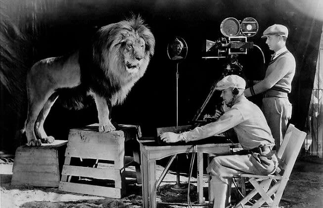 Leo, The Famous MGM Studio’s Lion
