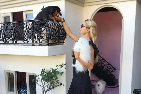 Paris Hilton: A Dog House