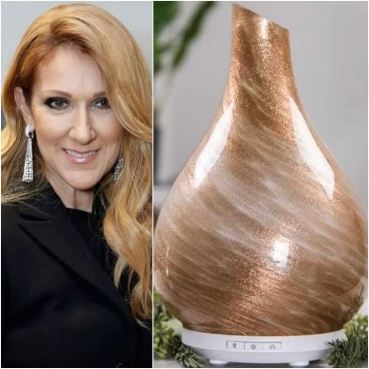 Celine Dion: A Humidifier