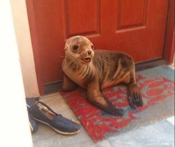 Just Popping In For A Visit