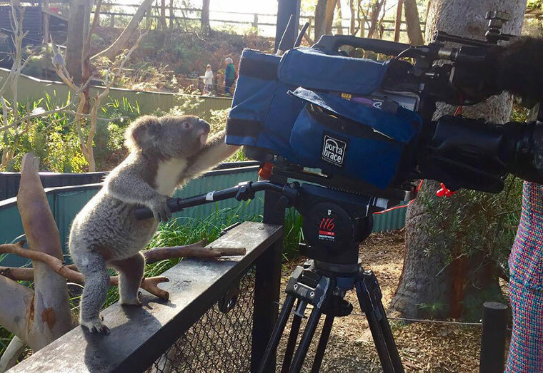 "I Have To Get The Perfect Shot"
