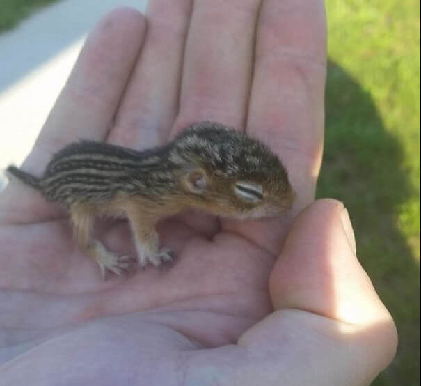 Have You Ever Seen Something More Precious?