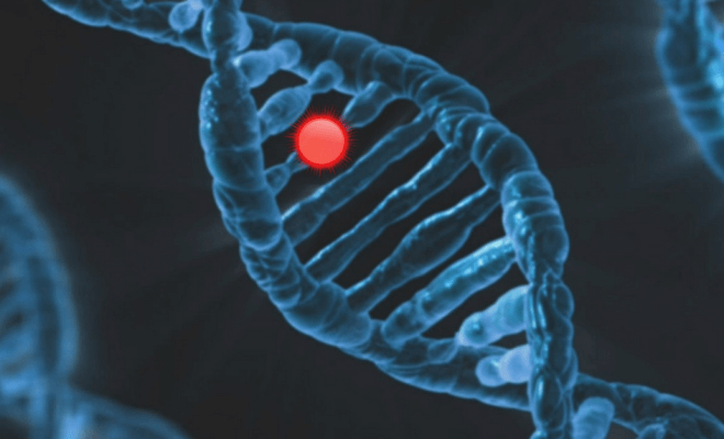 Exploring the Promise of Personalized Medicine