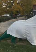 Halloween's Never Boring Thanks to These Funny Mishaps