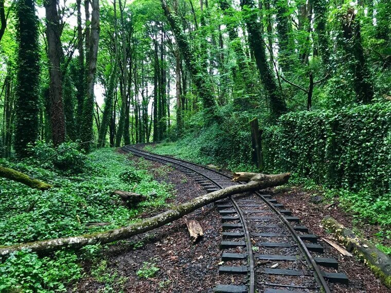 Adventure and Exploration