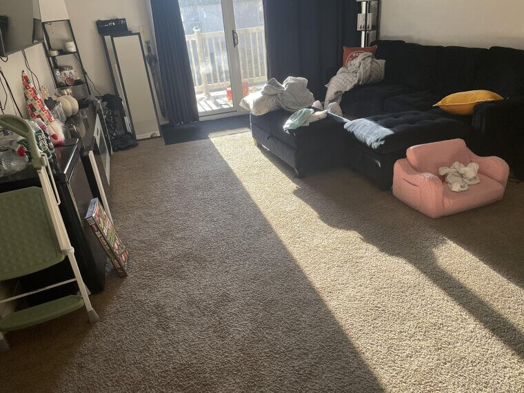 New Furniture and Synthetic Carpets