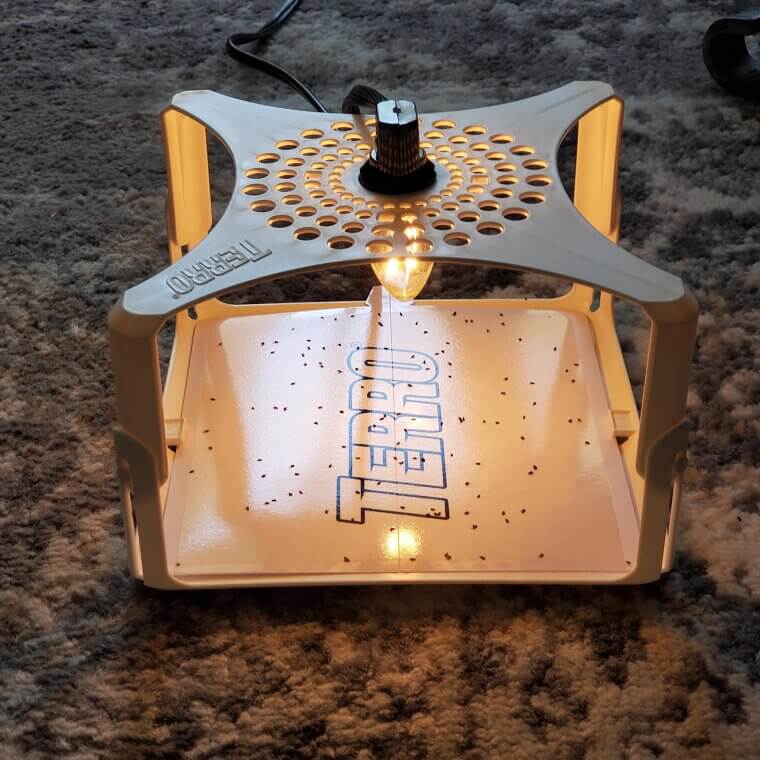 Bug Sprays and Flea Bombs