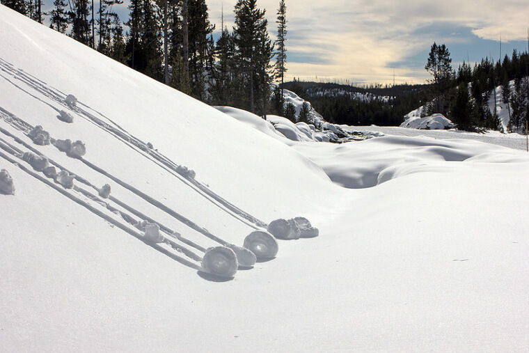 Snow Snails, Wyoming