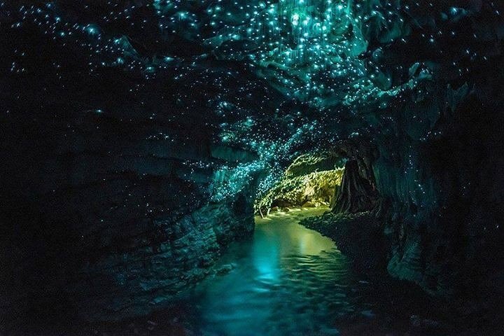 Glow Worm Caves, New Zealand