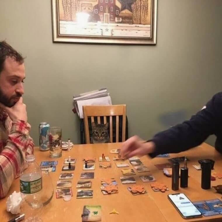 Not A Cat And Mouse Game