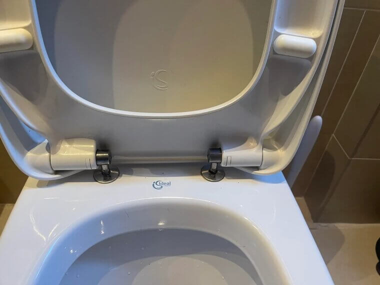 Replace Toilet Seat