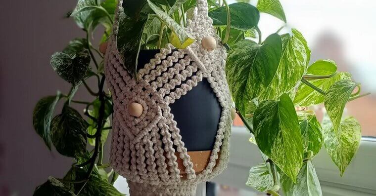 Macramé Plant Hangers