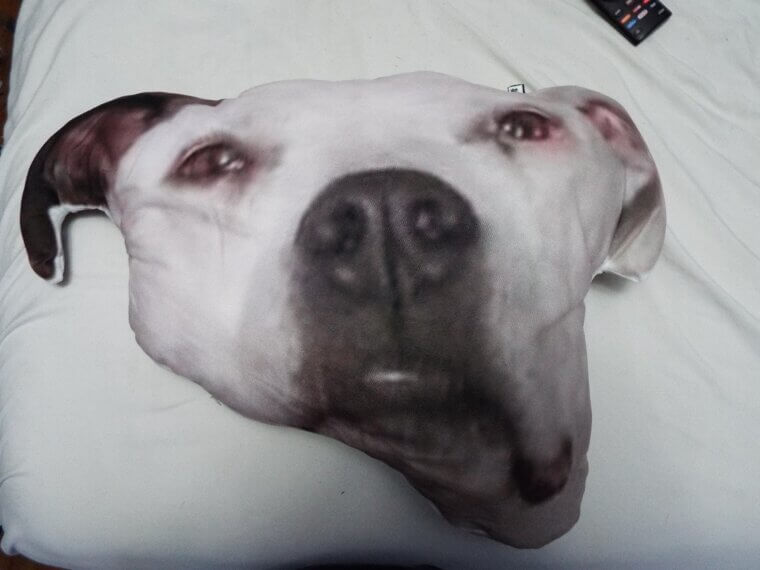 Personalized Photo Throw Pillow