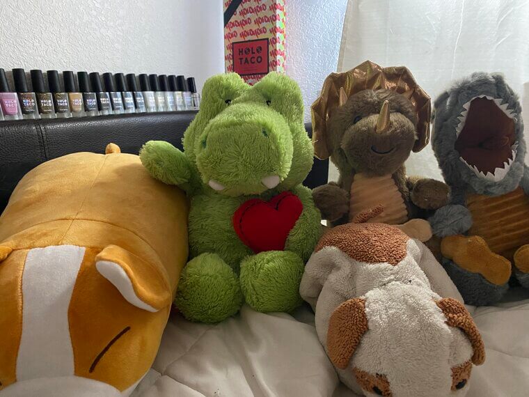 Stuffed Animal Companion