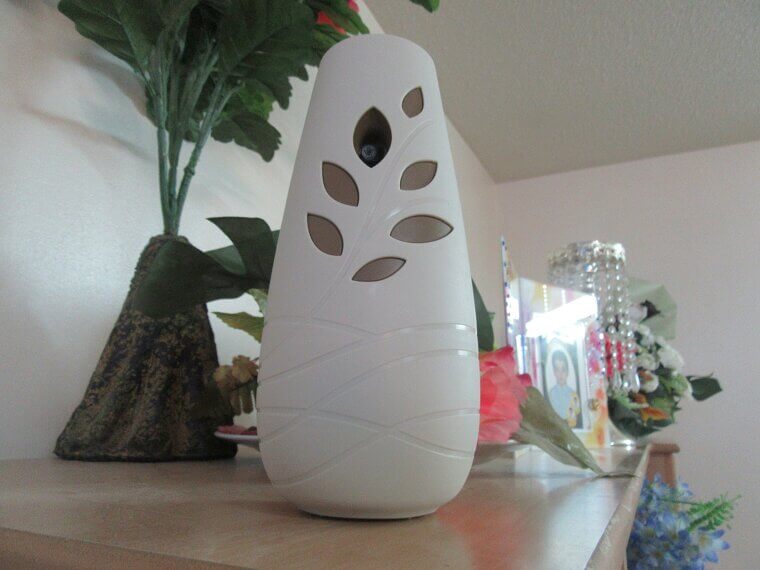 Avoid Air Fresheners