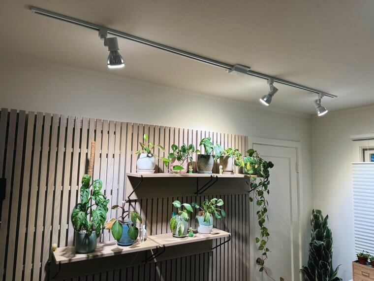 Track Lighting Missteps Everyone Regrets