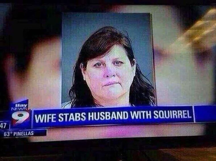 Squirrels Can Be Used As Weapons In The Hands Of The Right Woman