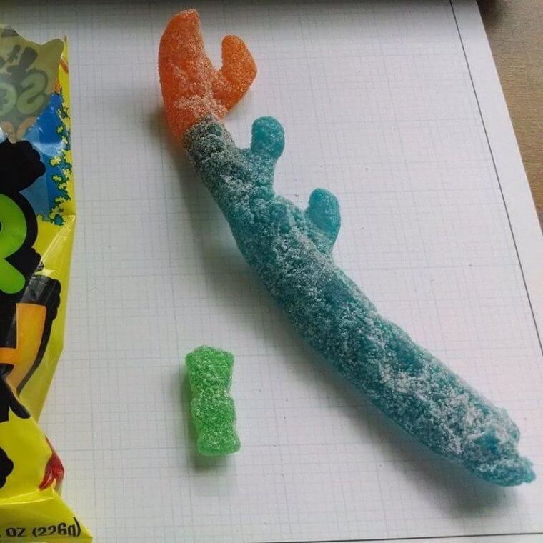 Sour Patch Tree