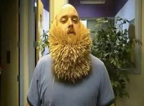 He Patiently Stuck 3,500 Toothpicks Onto His Beard