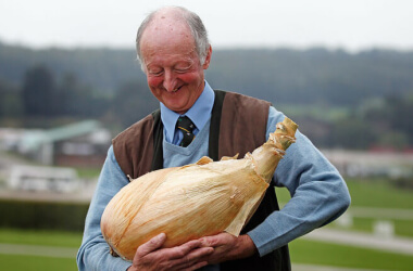 우리가 몰랐던 기이한 세계 기록들