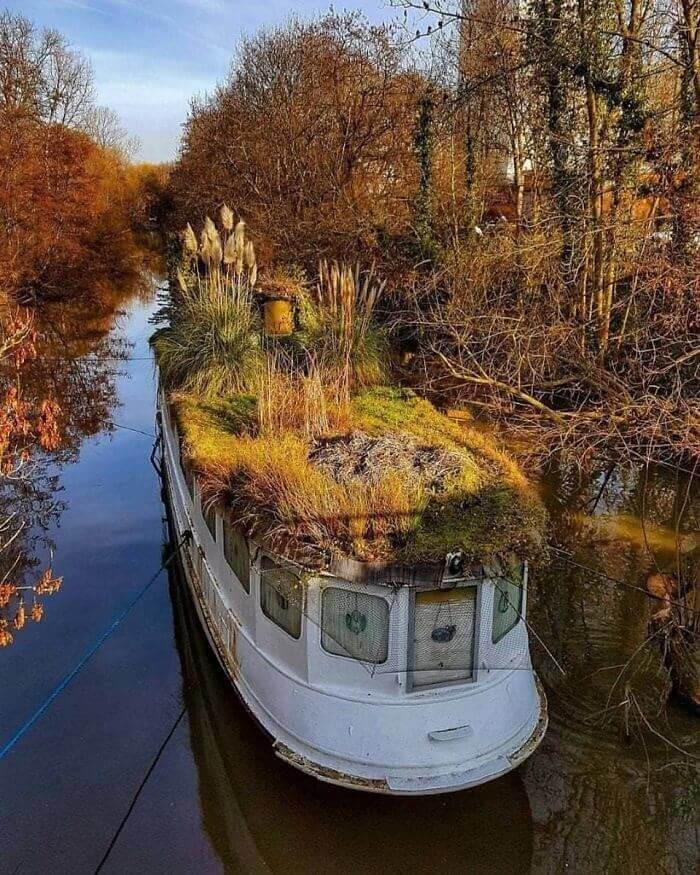 When Nature Takes Over- This Boat On A River