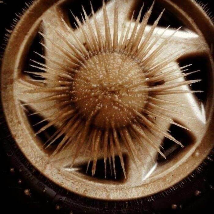 When Water Freezes On A Spinning Wheel