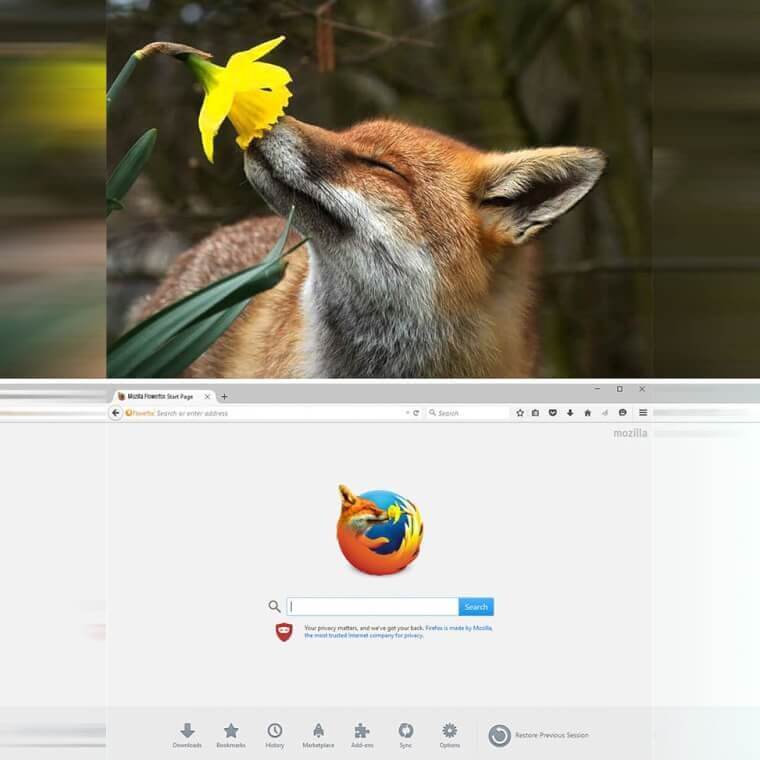 Descripción: An Icon Mozilla Firefox Needs to Use