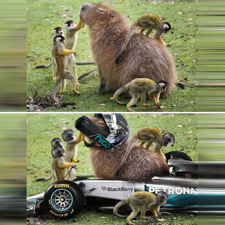 Descripción: Capybara: The Formula One Race Driver