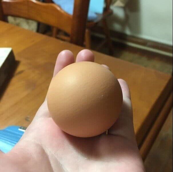 Say Hello to the Sphegg