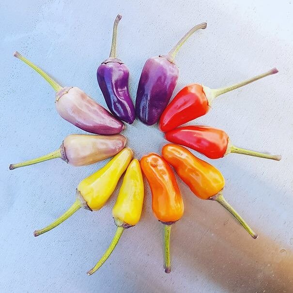 The Perfect Purple Peppers