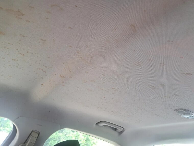 Don’t Forget the Headliner