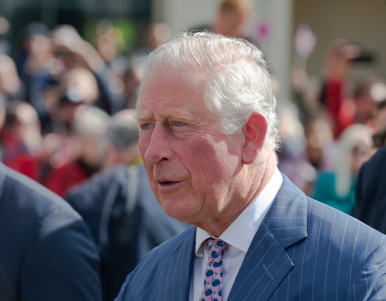 What Does 2024 Have in Store for the Royal Family?